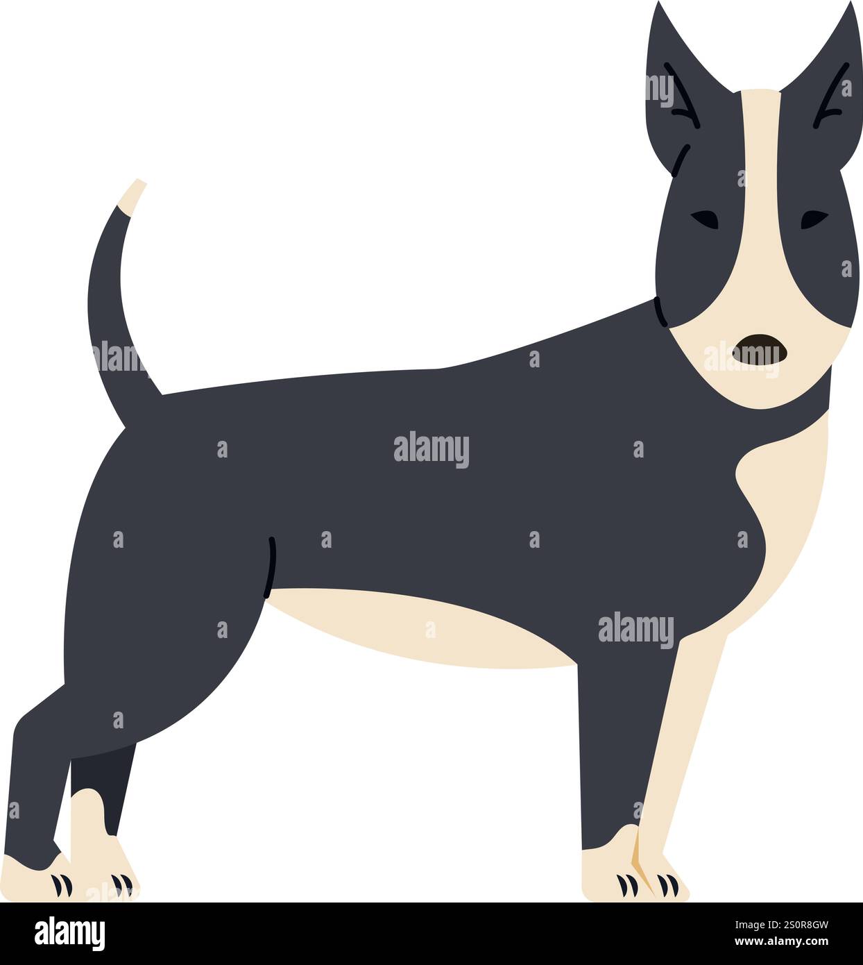 Illustration vectorielle minimaliste d'un Bull terrier debout de profil montrant sa posture élégante, isolé sur un fond blanc, parfait pour les animaux Illustration de Vecteur