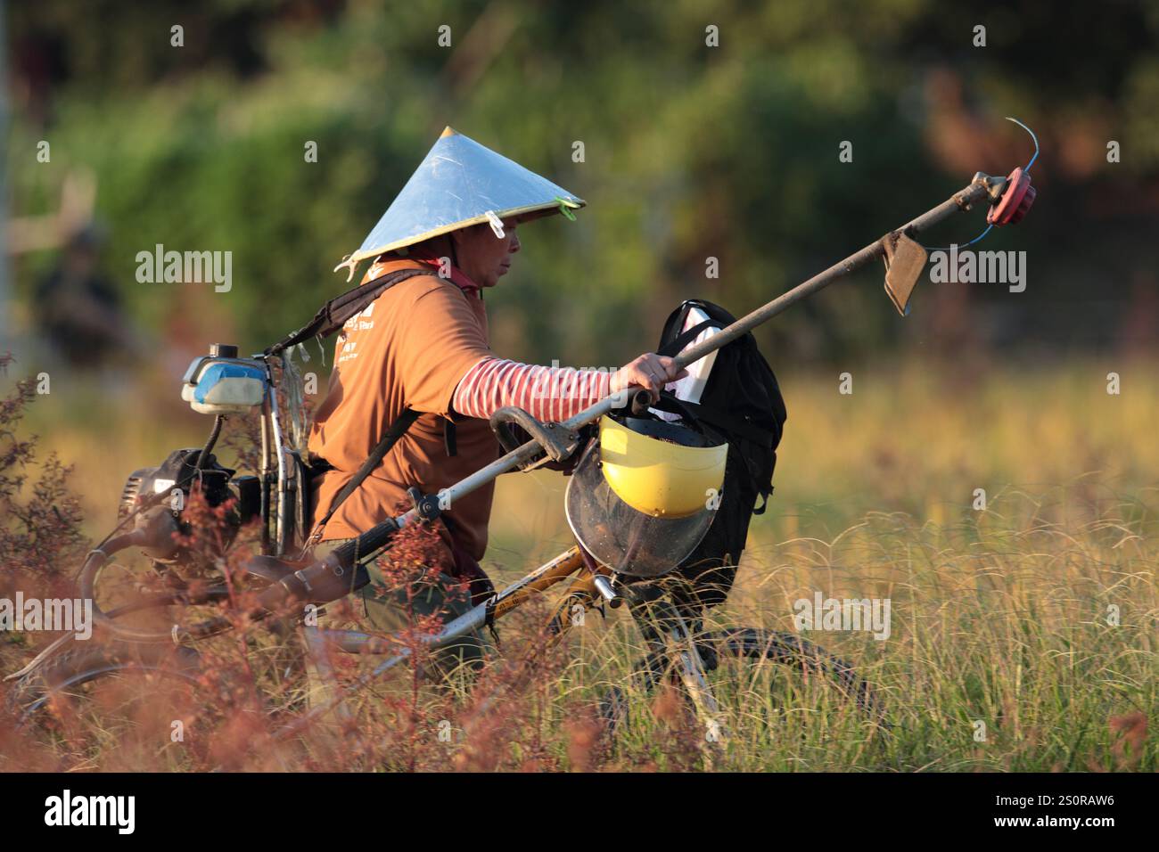 Vue de l'après-midi d'une travailleuse avec un strimmer motorisé, parc naturel de long Valley, nouveaux Territoires, Hong Kong Chine Banque D'Images