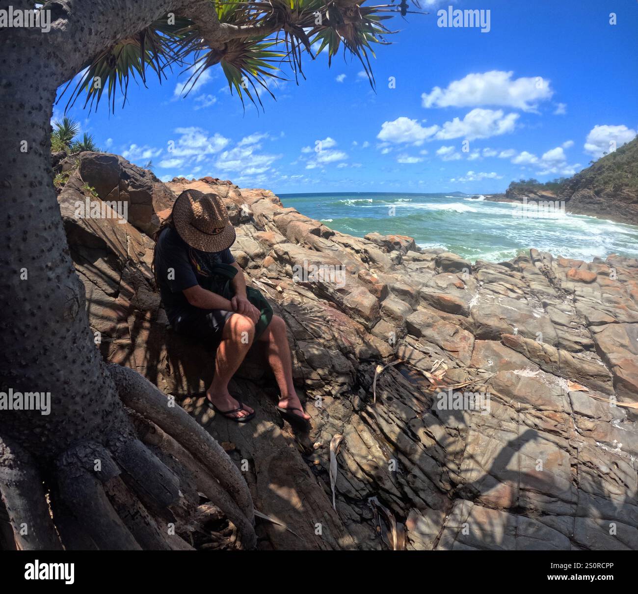 Sieste à l'ombre d'un palmier à vis Pandanus, parc national de Noosa, Queensland, Australie. Non M. Banque D'Images
