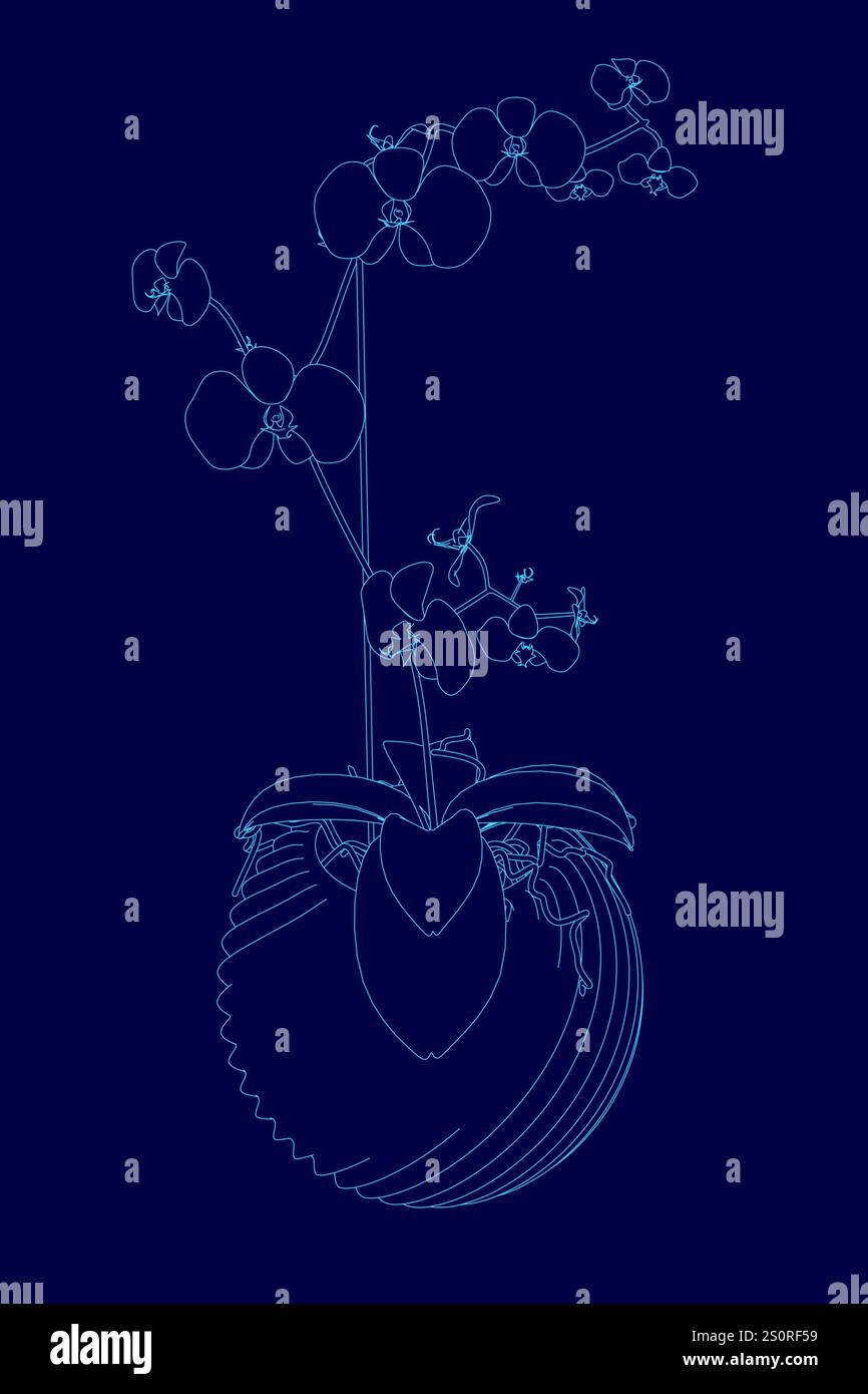 Dessin bleu d'une fleur dans un vase. La fleur est une grande orchidée avec tige. Le vase est également bleu et a une forme incurvée. Le dessin est très détaillé Illustration de Vecteur