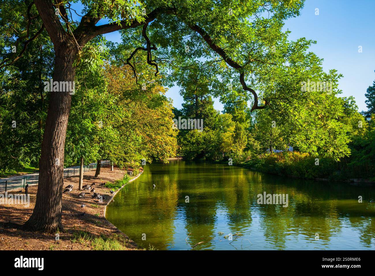 Jardin public de Bordeaux Jardin public ou de Bordeaux en France Banque D'Images