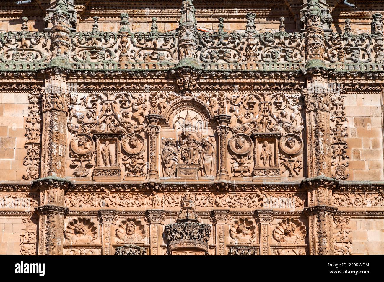 Des motifs complexes en pierre ornent l'extérieur de l'historique Universidad de Salamanca, mettant en valeur sa beauté architecturale. Banque D'Images Des motifs complexes en pierre ornent l'extérieur de l'historique Universidad de Salamanca, mettant en valeur sa beauté architecturale. Banque D'Images