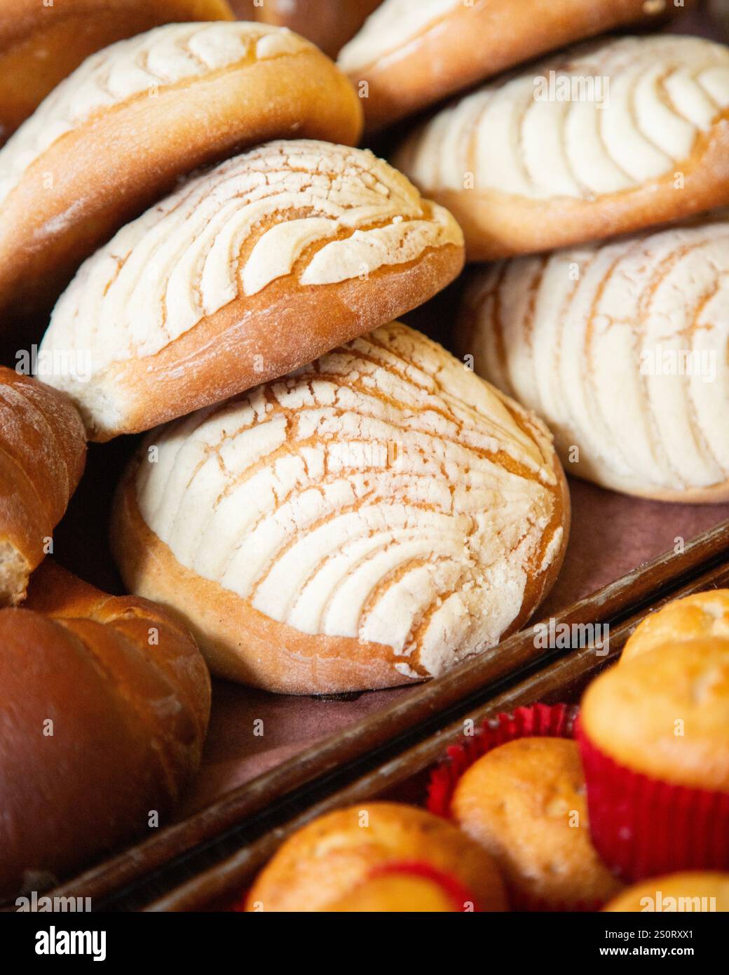 PAN de concha. Pain sucré mexicain dans un stand de Street food à Oaxaca. Banque D'Images