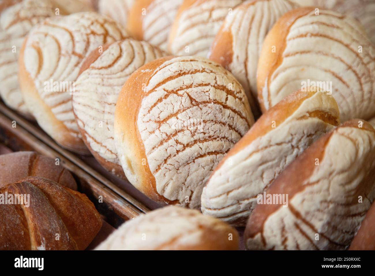 PAN de concha. Pain sucré mexicain dans un stand de Street food à Oaxaca. Banque D'Images