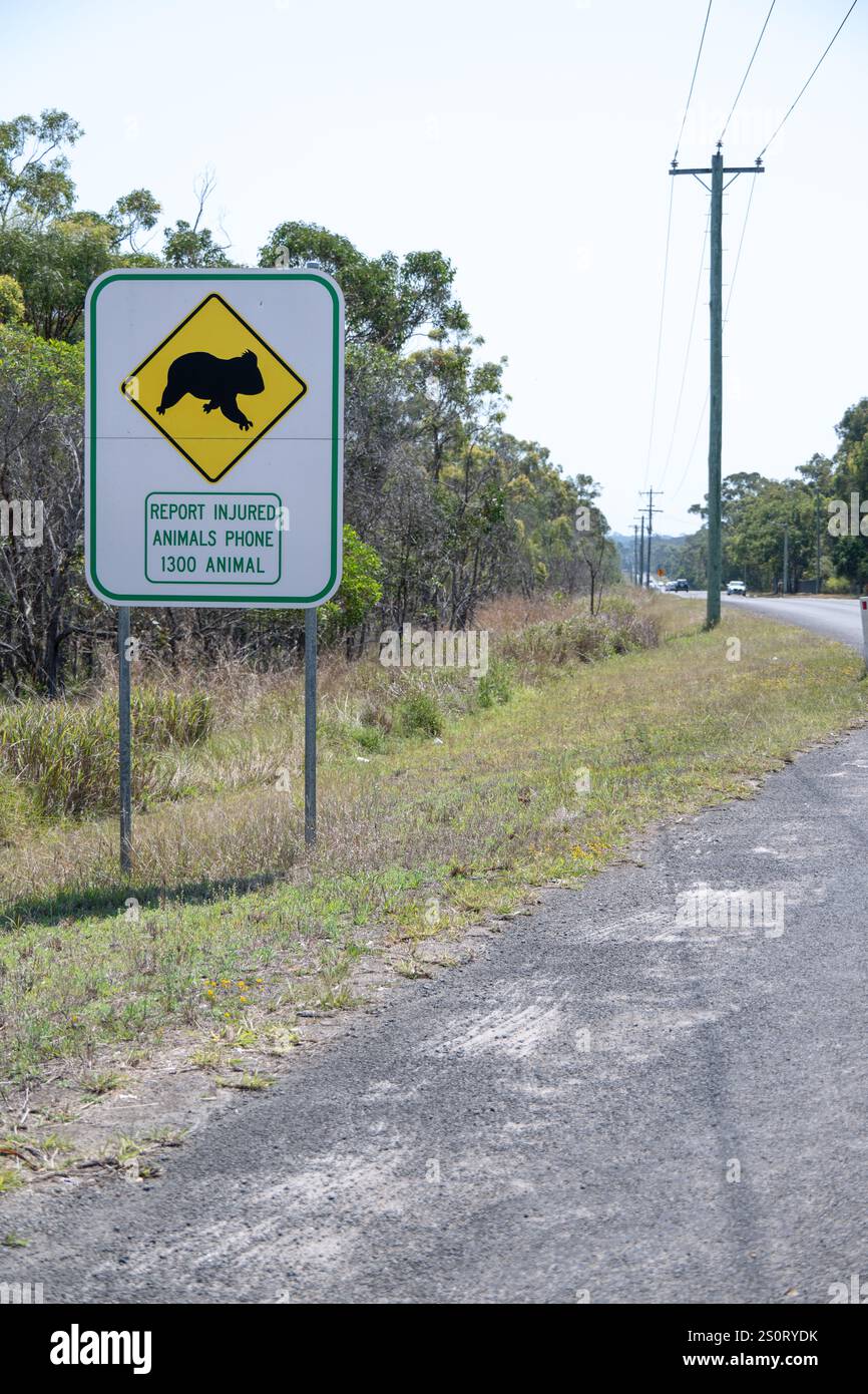 Panneau routier de sauvetage de la faune, koala Australie, danger d'avertissement de protection des animaux blessés, service soignant, conservation communautaire Banque D'Images