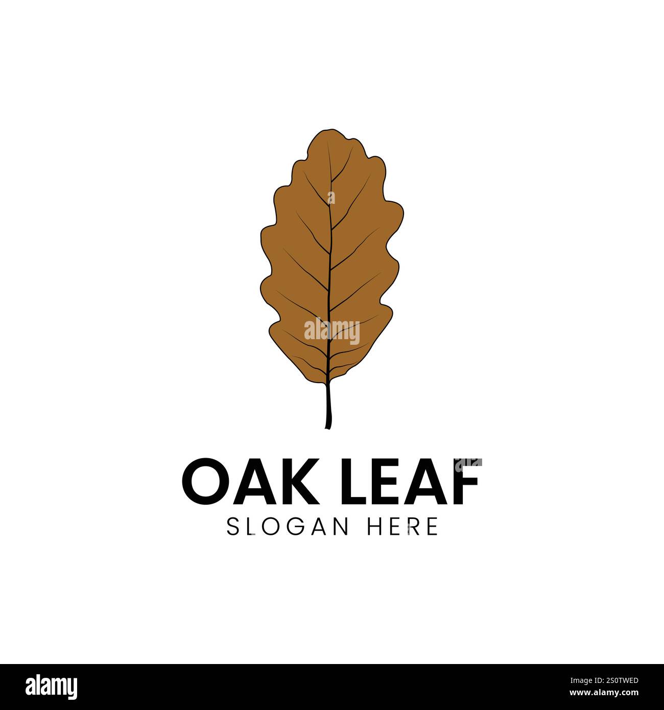 conception d'illustration vectorielle d'automne brun de feuille de chêne Illustration de Vecteur