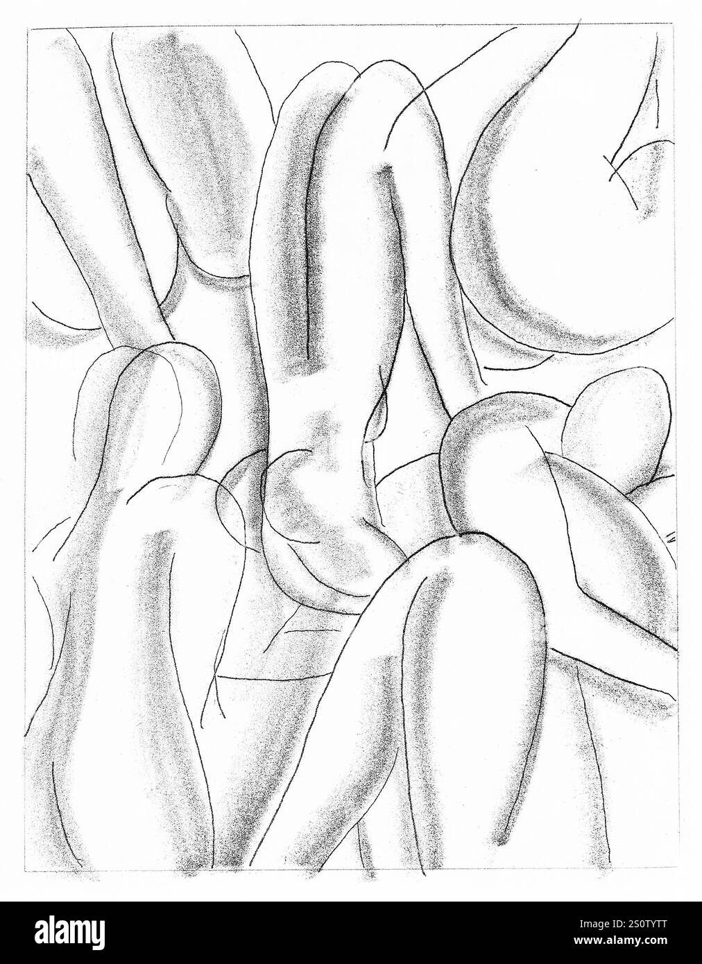 Henri Matisse (1869-1954) Circé, d'Ulysse, 1935 Banque D'Images