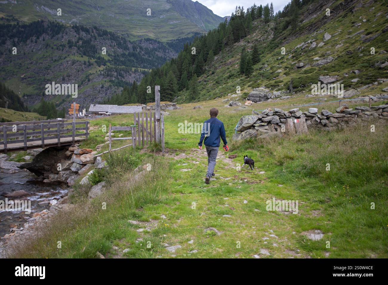 Une sortie en famille à la montagne en été, profitant de la nature avec leur chien. Cette scène réconfortante capture la joie de l'ensemble, de l'exploration, Banque D'Images