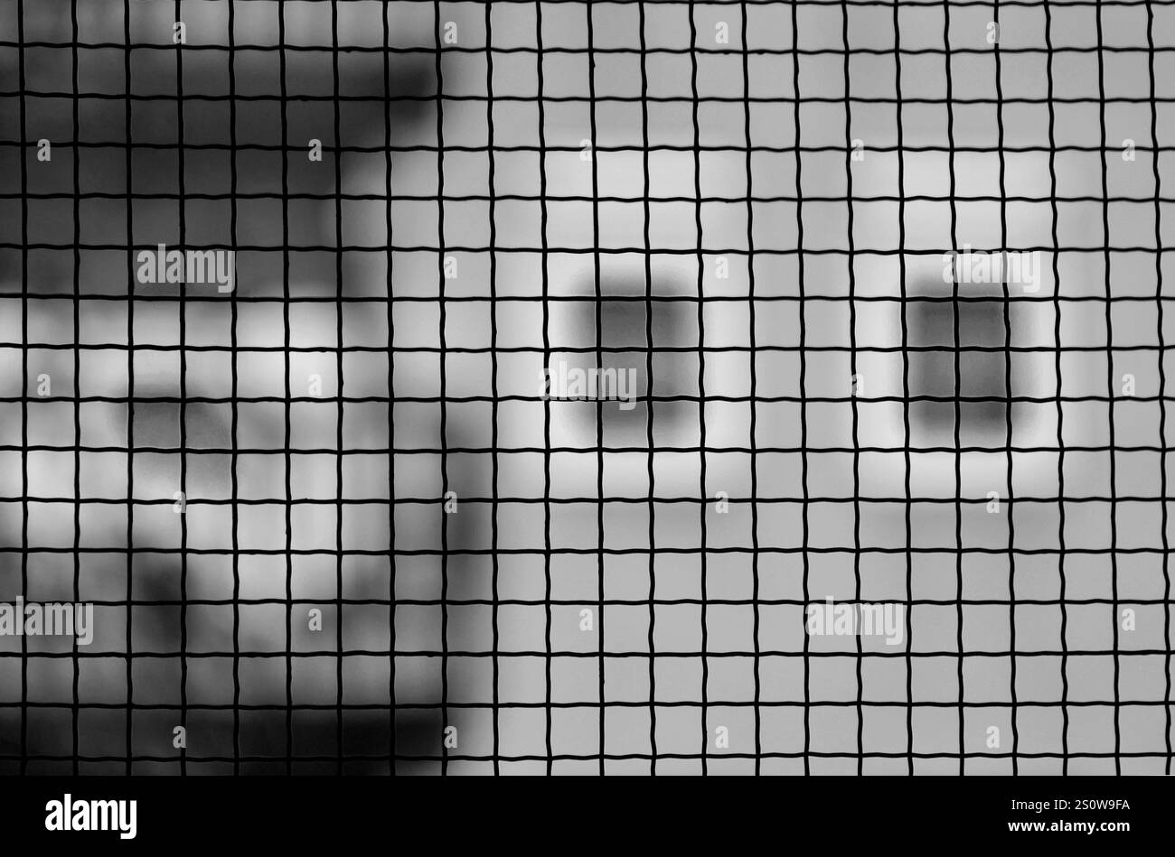 Vision floue : yeux abstraits de l'architecture à travers une grille Banque D'Images