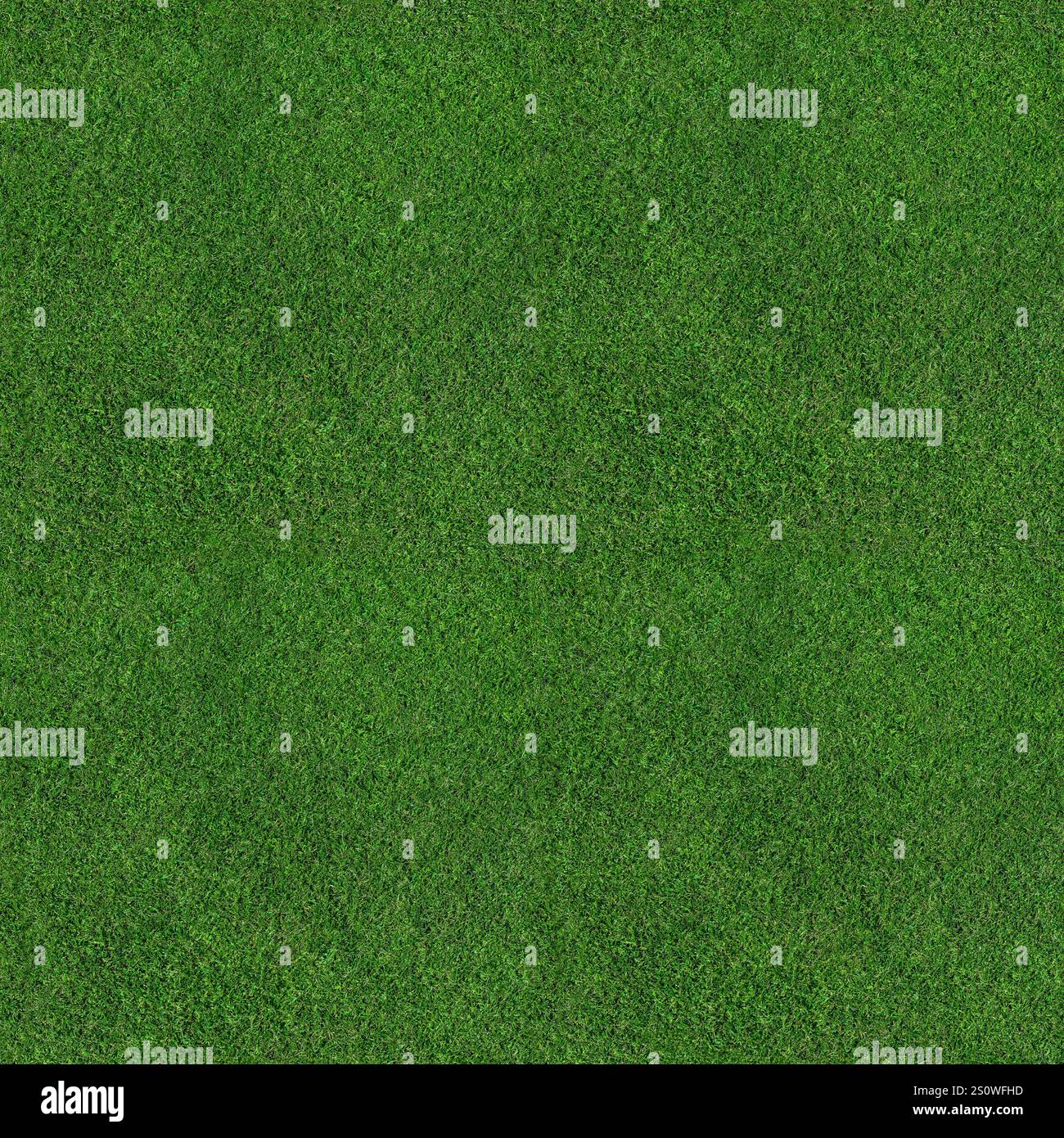 Texture du champ d'herbe - vue aérienne sans couture de dessus d'une grande parcelle d'herbe verte fraîchement coupée et saine. Peut être mosaïque pour créer un arrière-plan beaucoup plus grand. Banque D'Images