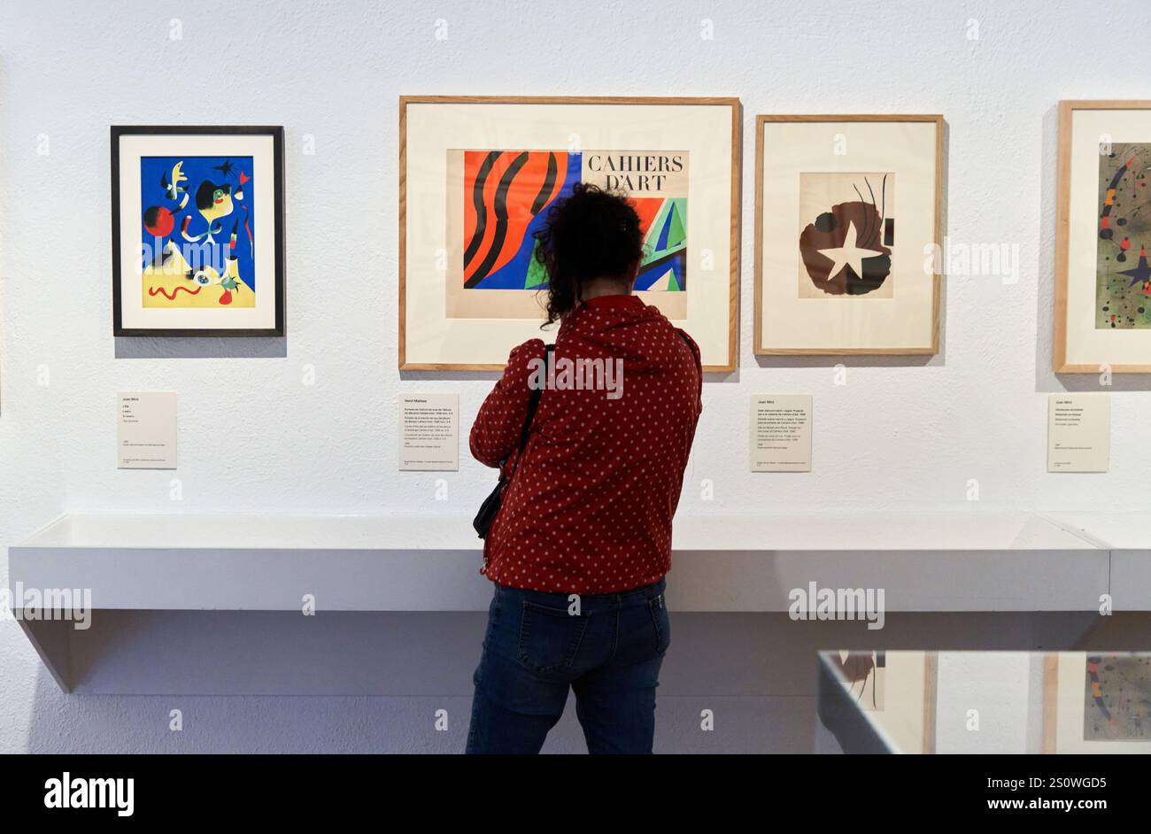 Au-delà des images, Henri Matisse Joan Miró, Fundació Joan Miró, Barcelone, Espagne Banque D'Images