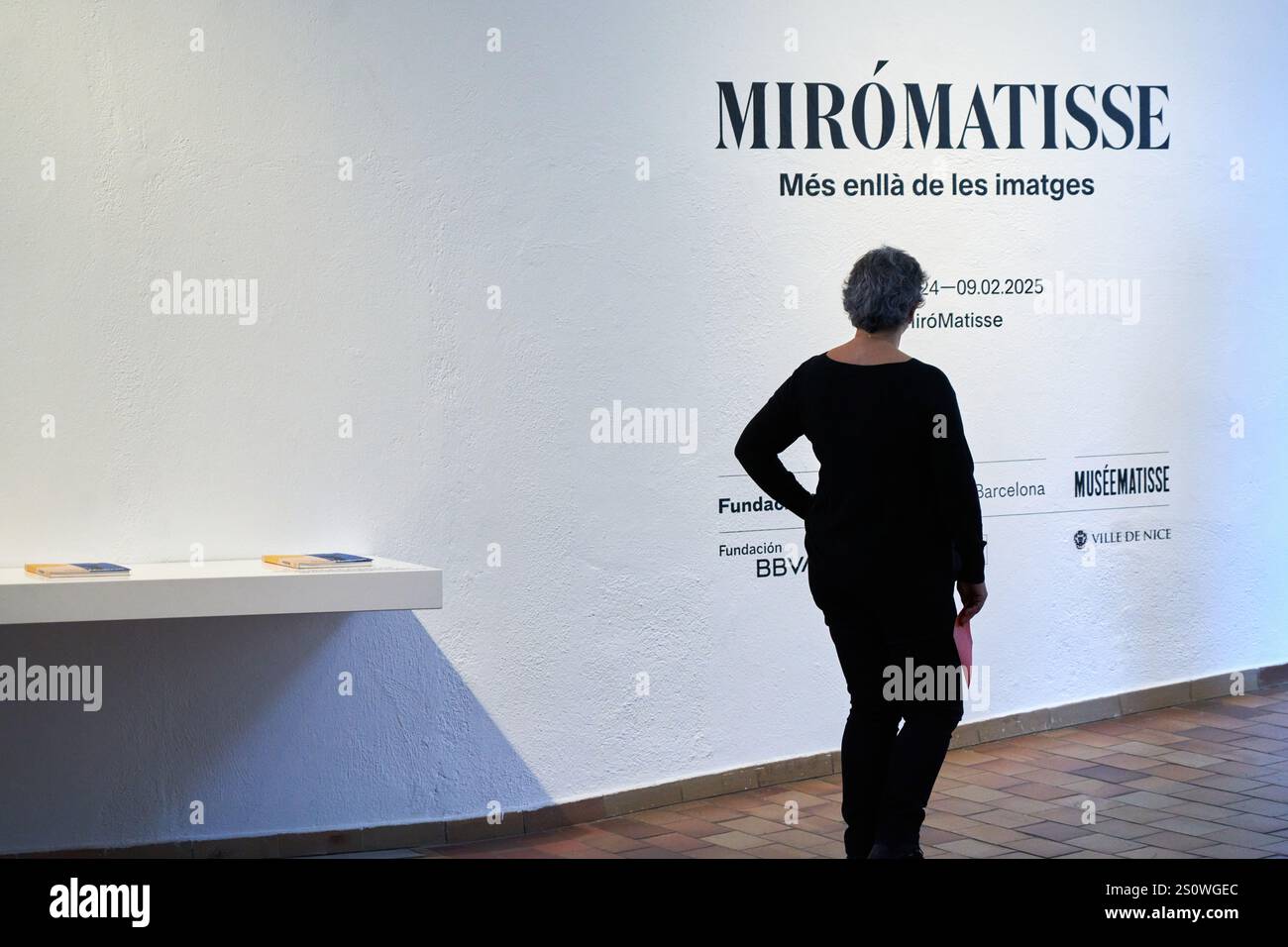 Au-delà des images, Henri Matisse Joan Miró, Fundació Joan Miró, Barcelone, Espagne Banque D'Images