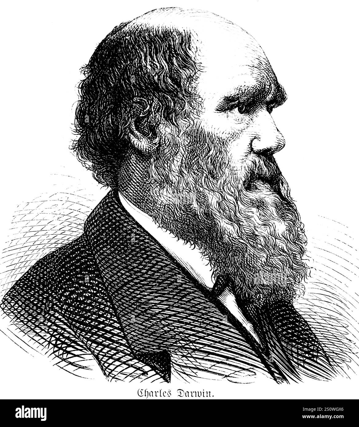 Portrait du naturaliste britannique Charles Darwin (1809, 1882) théorie de l'évolution sur l'origine de l'humanité, origine des espèces, voyage autour de la WOR Banque D'Images
