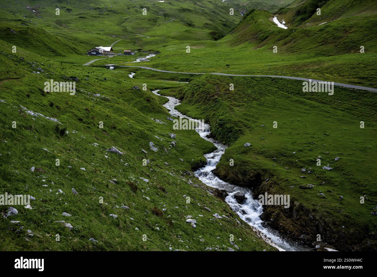 Ruisseau dans la prairie de montagne verte avec cabane alpine, Lech, Lechquellengebirge, Vorarlberg, Autriche, Europe Banque D'Images