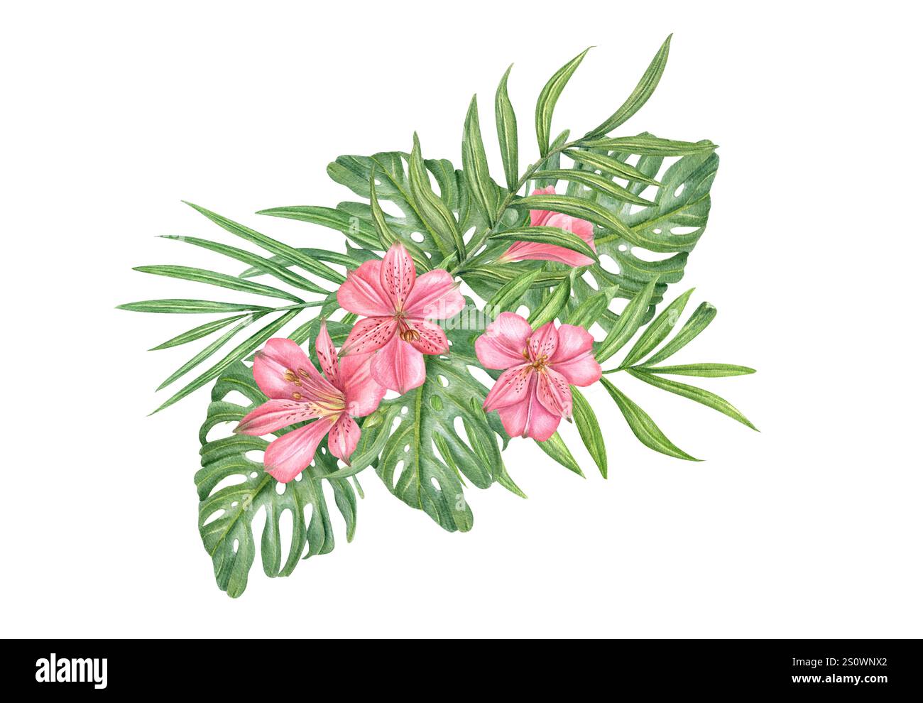 Fleurs roses à l'aquarelle avec illustration de bouquet de feuilles vertes tropicales. Fleur d'Alstroemeria, palmier d'areca et feuillage de monstera. Jungle dense. Banque D'Images
