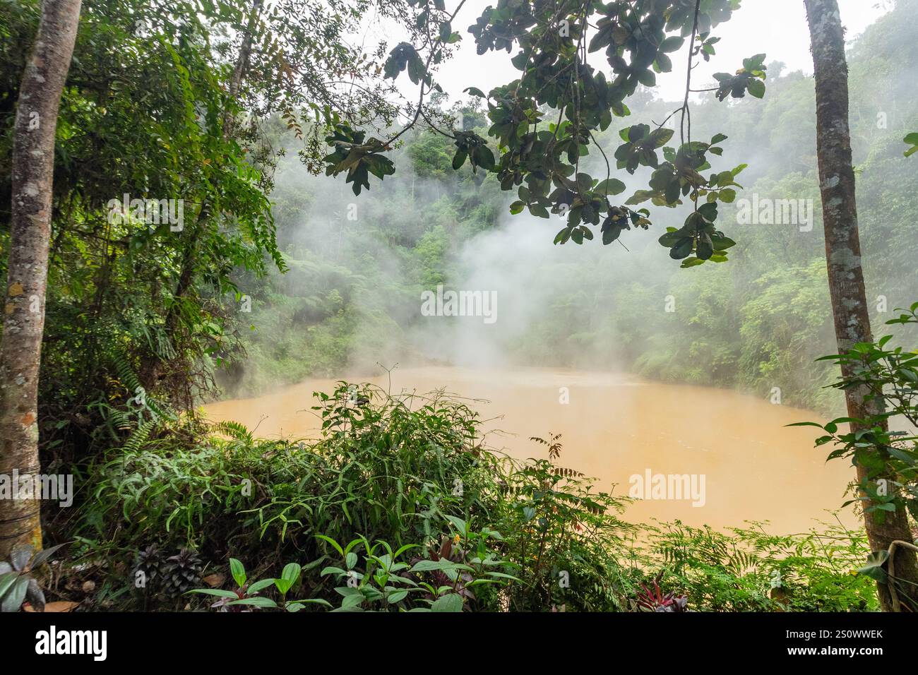 Lac de boue bouillante dans le lac AGCO Kidapawan Mindanao Philippines connu pour l'activité géologique et les bains minéraux thérapeutiques Banque D'Images