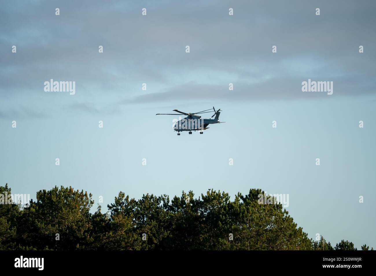 British joint Helicopter Command (JHC) Royal Air Force Puma HC2 en action lors d'un exercice militaire Banque D'Images