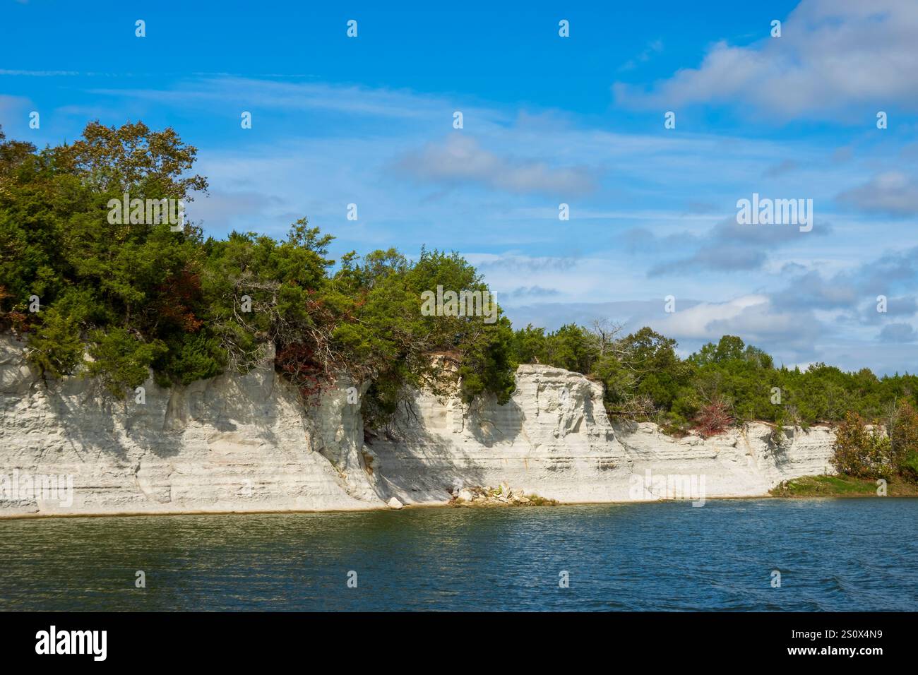 Falaises blanches d'EPES, rivière Tombigbee, Alabama. Ce sont des falaises de craie de 80 pieds de haut, déposées au Crétacé. La craie sous-tend le fe Banque D'Images