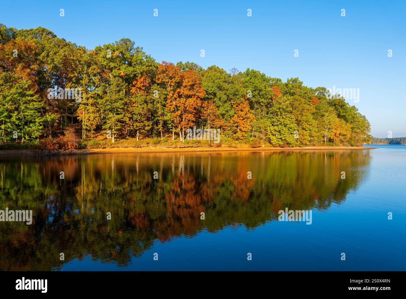 Couleurs d'automne sur les eaux calmes d'une crique sur le lac Bay Springs sur la rivière Tennessee Tombigbee dans le Mississippi en automne. Banque D'Images