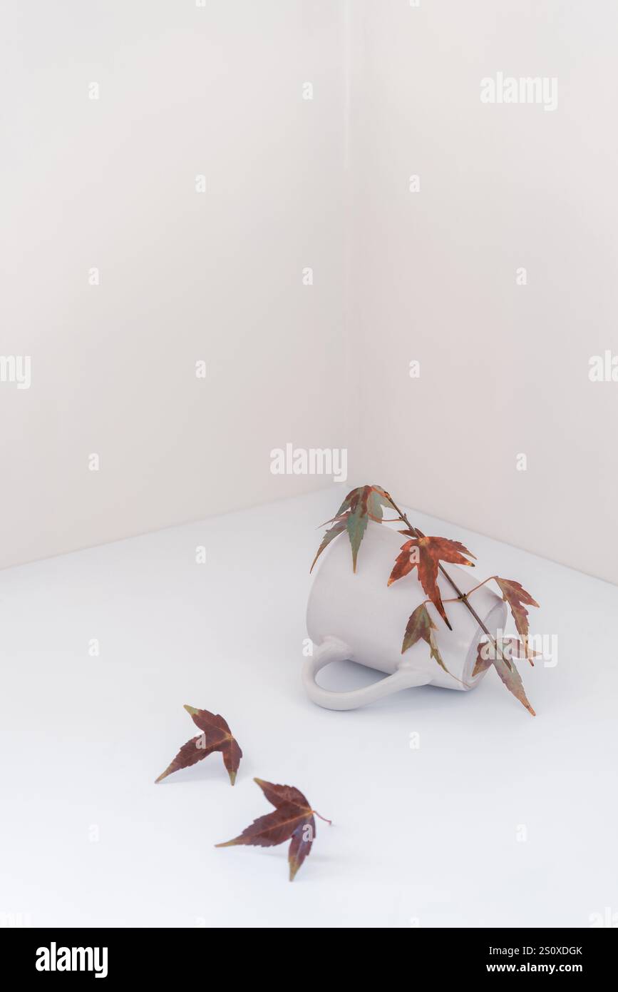 Résumé d'une tasse blanche sur fond blanc entouré de feuilles d'automne - concept minimaliste de pureté et d'état de rêve Banque D'Images