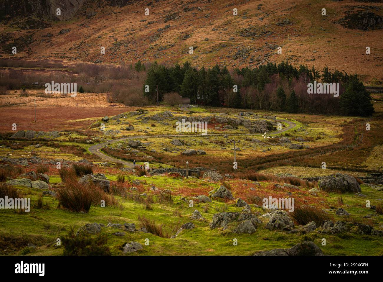 Vue panoramique sur le parc national de Snowdonia avec les randonneurs profitant du paysage pittoresque Banque D'Images