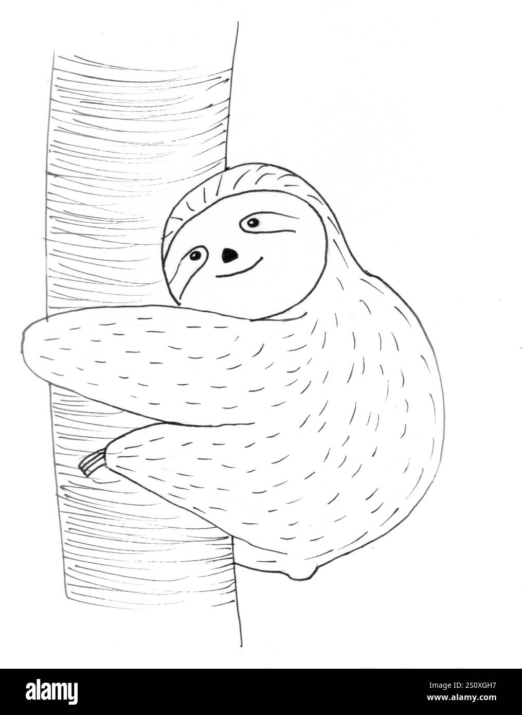 Dessin au trait d'un ours spectaculaire serrant un arbre Banque D'Images
