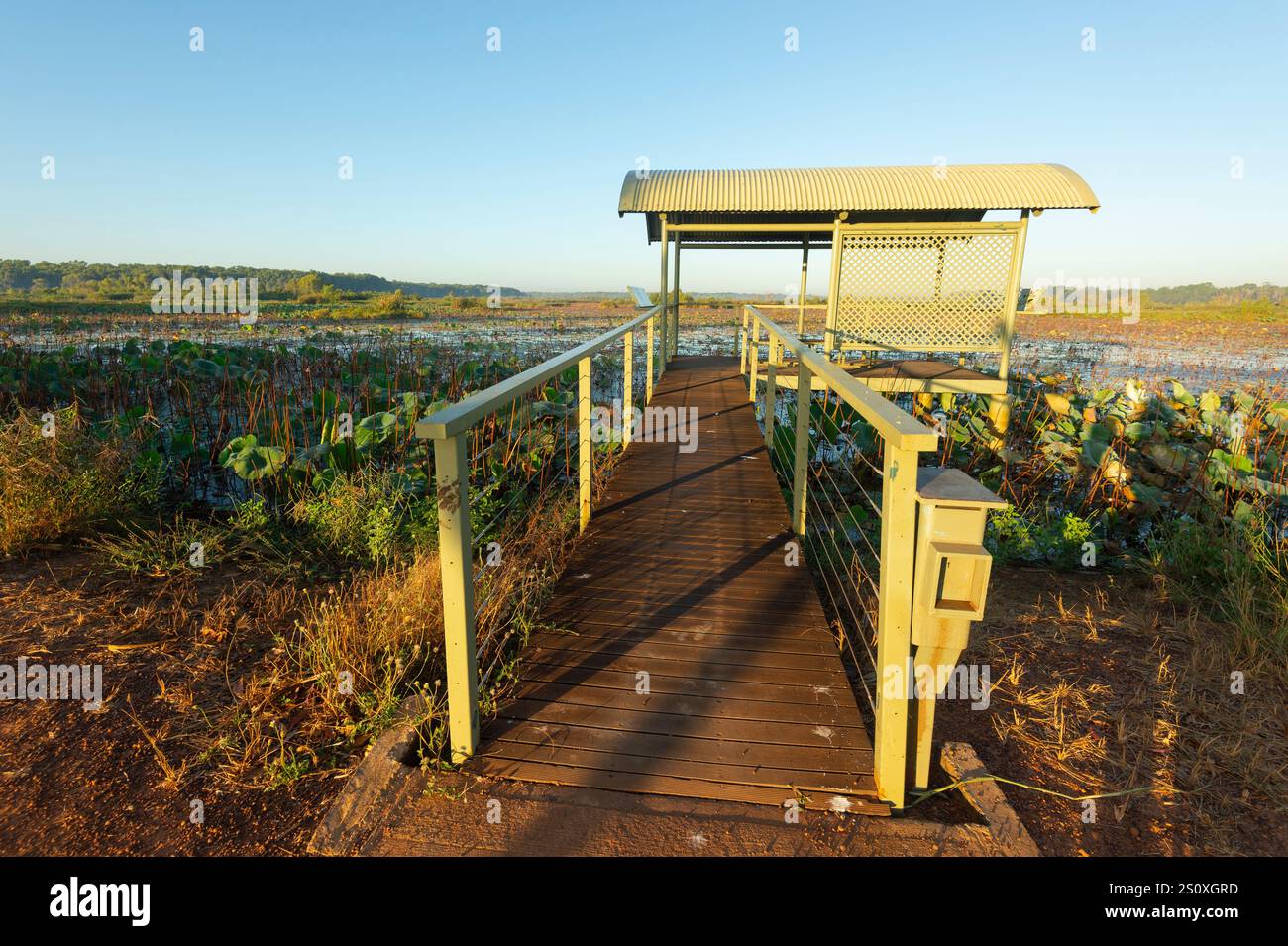 Birdhide surplombant les zones humides, Fogg Dam, territoire du Nord, territoire du Nord, Australie Banque D'Images