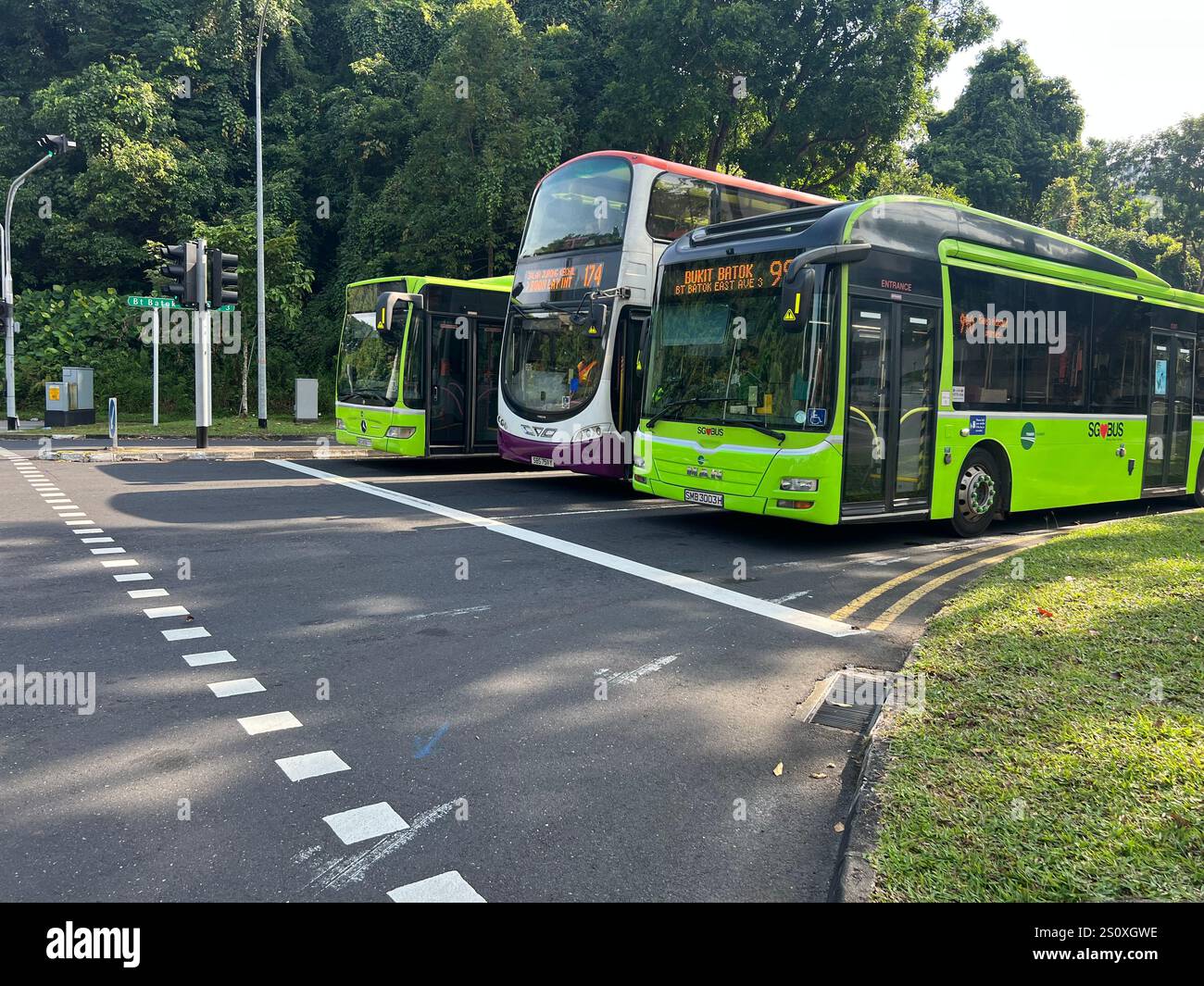 Trois bus publics s'alignent sur la route, comprennent un bus à impériale et un bus simple, mettent en valeur la verdure urbaine, s'arrêtent avant un carrefour de feux de circulation. Singapour. - Image de stock capturée avec un smartphone