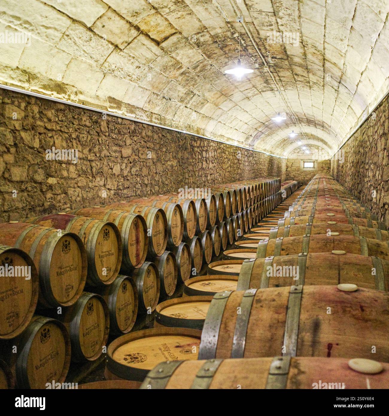 Elciego, Espagne - 28 décembre 2024 : fûts de vin dans les caves de la cave marque de Riscal, Rioja Alvesa, Espagne Banque D'Images