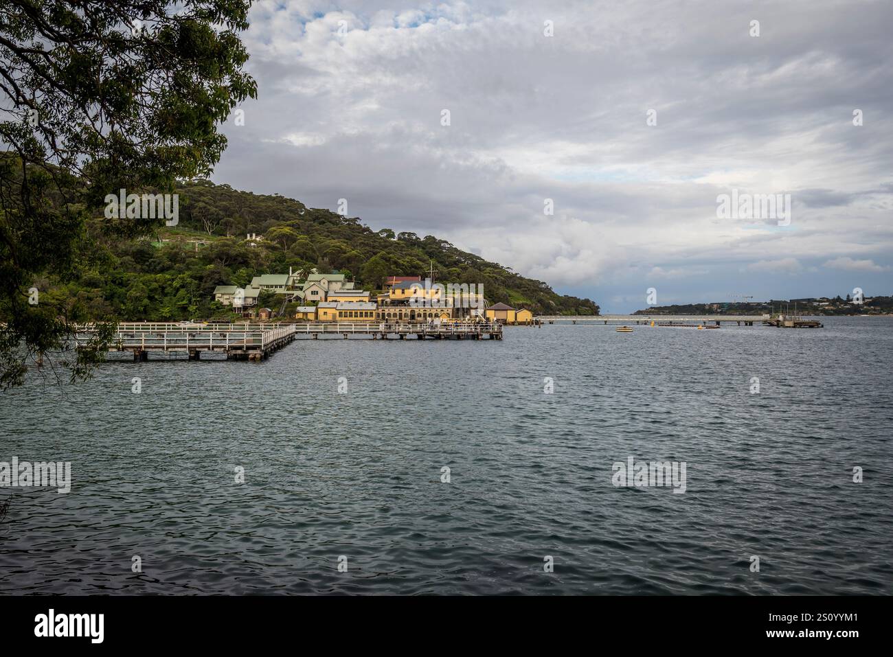 Chowder Bay Walk, Sydney, Nouvelle-Galles du Sud, Australie Banque D'Images