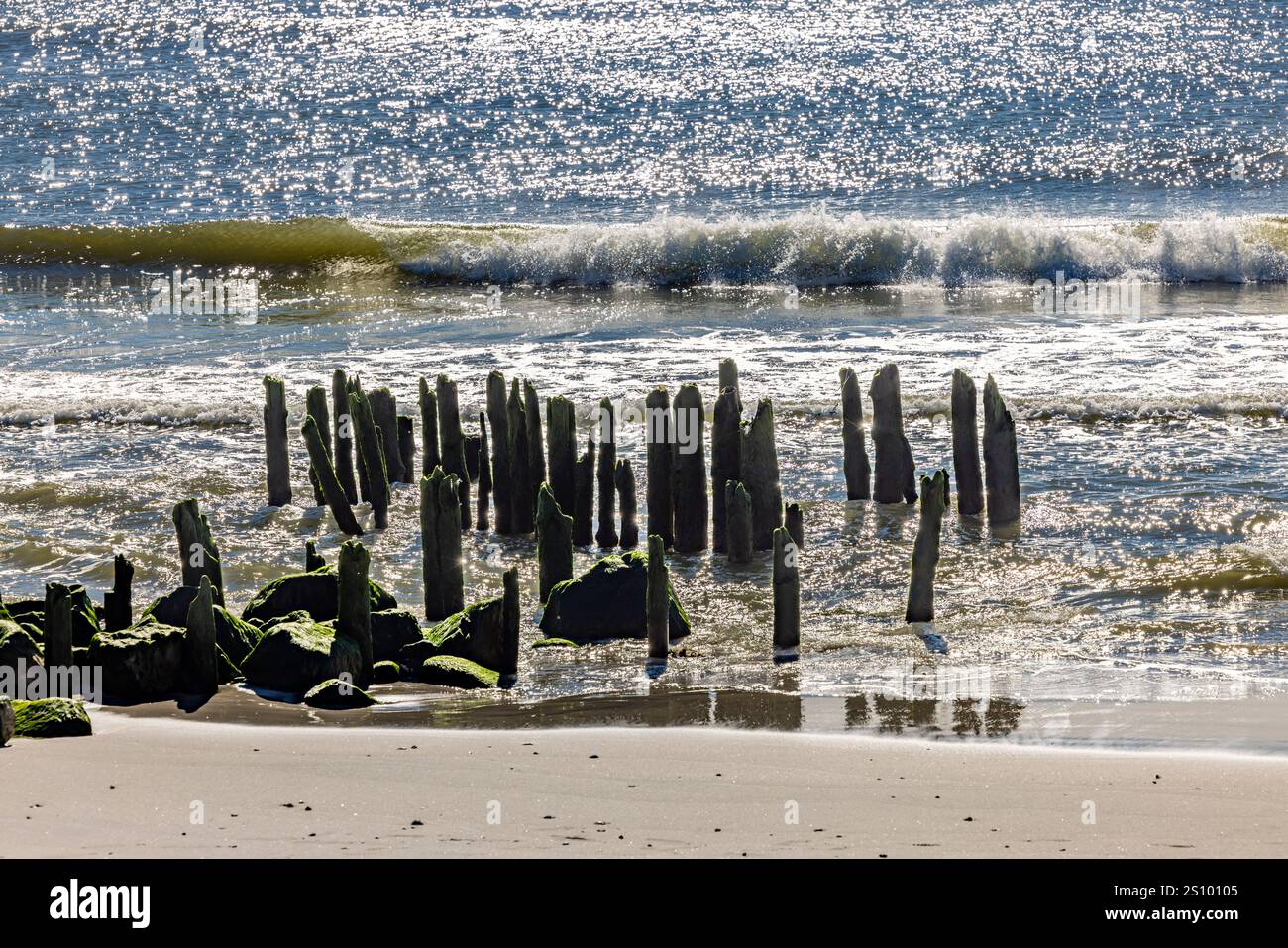 des parts de vieux pilots sur la plage ponquogue plage Banque D'Images