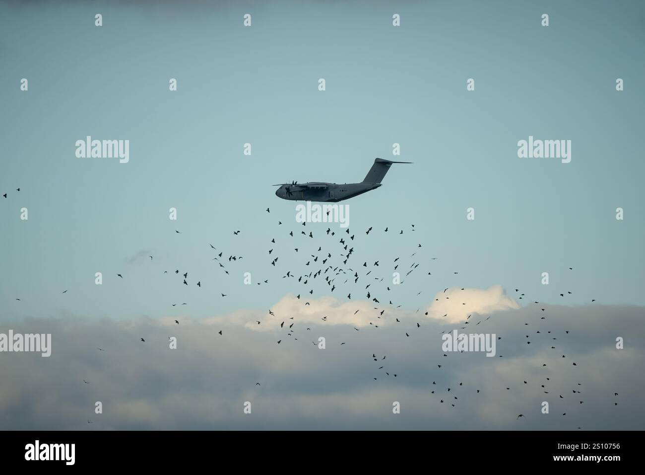 Avion de transport militaire RAF Airbus C.1 A400M Atlas en vol sur une piste de débarquement à basse altitude, Wiltshire UK Banque D'Images