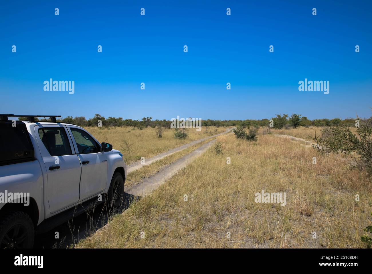 Conduite hors route d'une voiture de location sur une route de gravier, une piste 4x4 dans un paysage désertique sablonneux en Namibie. Toyota Hilux SUV 4x4 véhicule tout-terrain. 3 mars 20 Banque D'Images Conduite hors route d'une voiture de location sur une route de gravier, une piste 4x4 dans un paysage désertique sablonneux en Namibie. Toyota Hilux SUV 4x4 véhicule tout-terrain. 3 mars 20 Banque D'Images