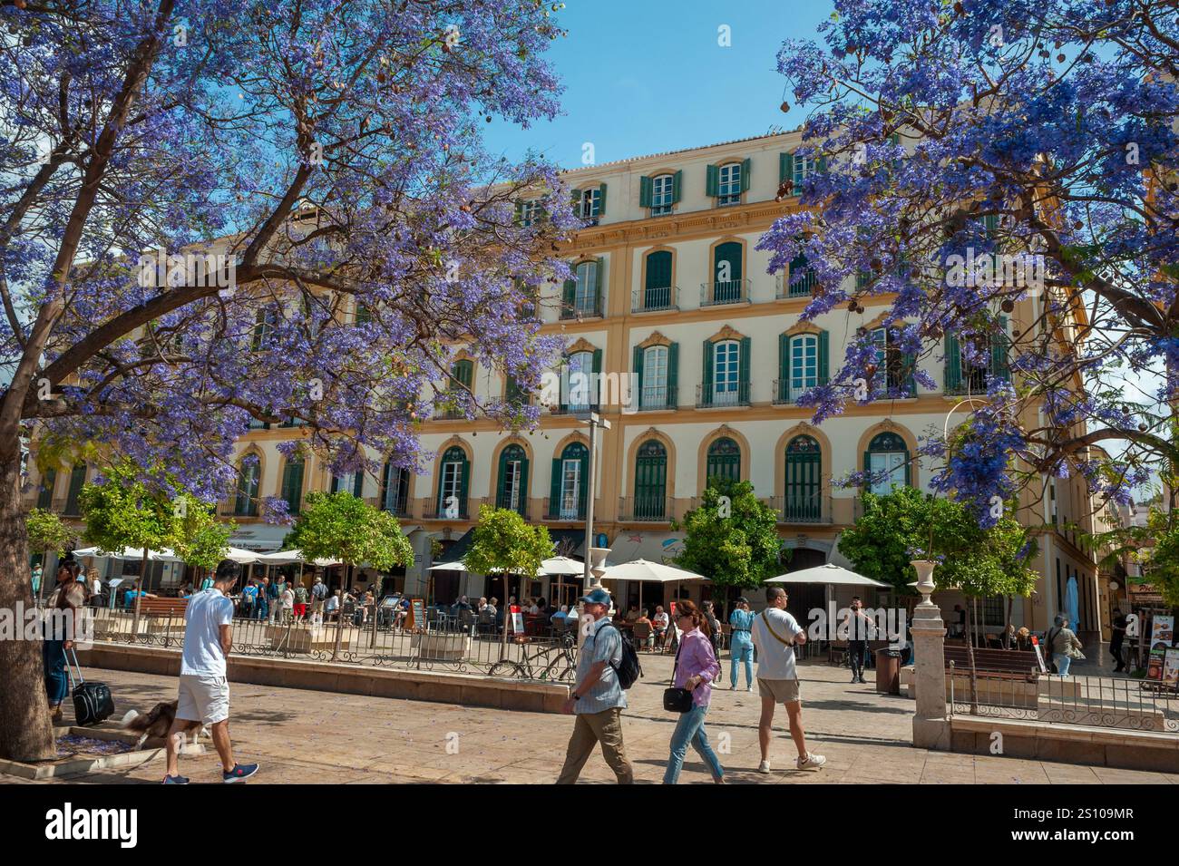 Malaga, Espagne, les gens, les touristes, la marche, scènes de rue, vieux centre-ville, place de la ville, fleurs au printemps Banque D'Images
