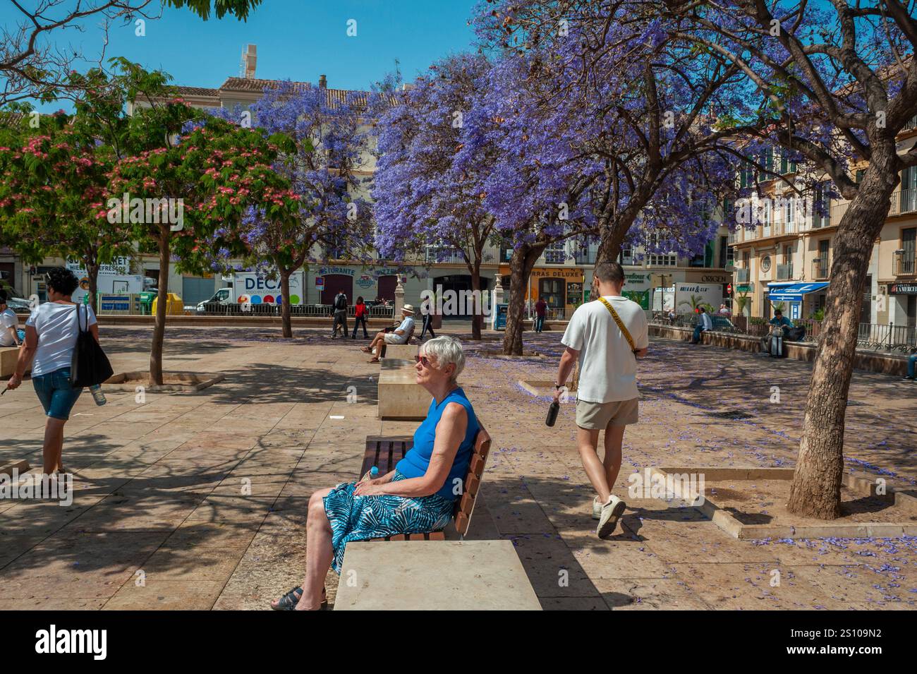 Malaga, Espagne, les gens, les touristes, la marche, scènes de rue, vieille ville centre, place de la ville, fleurs au printemps vague de chaleur europe Banque D'Images