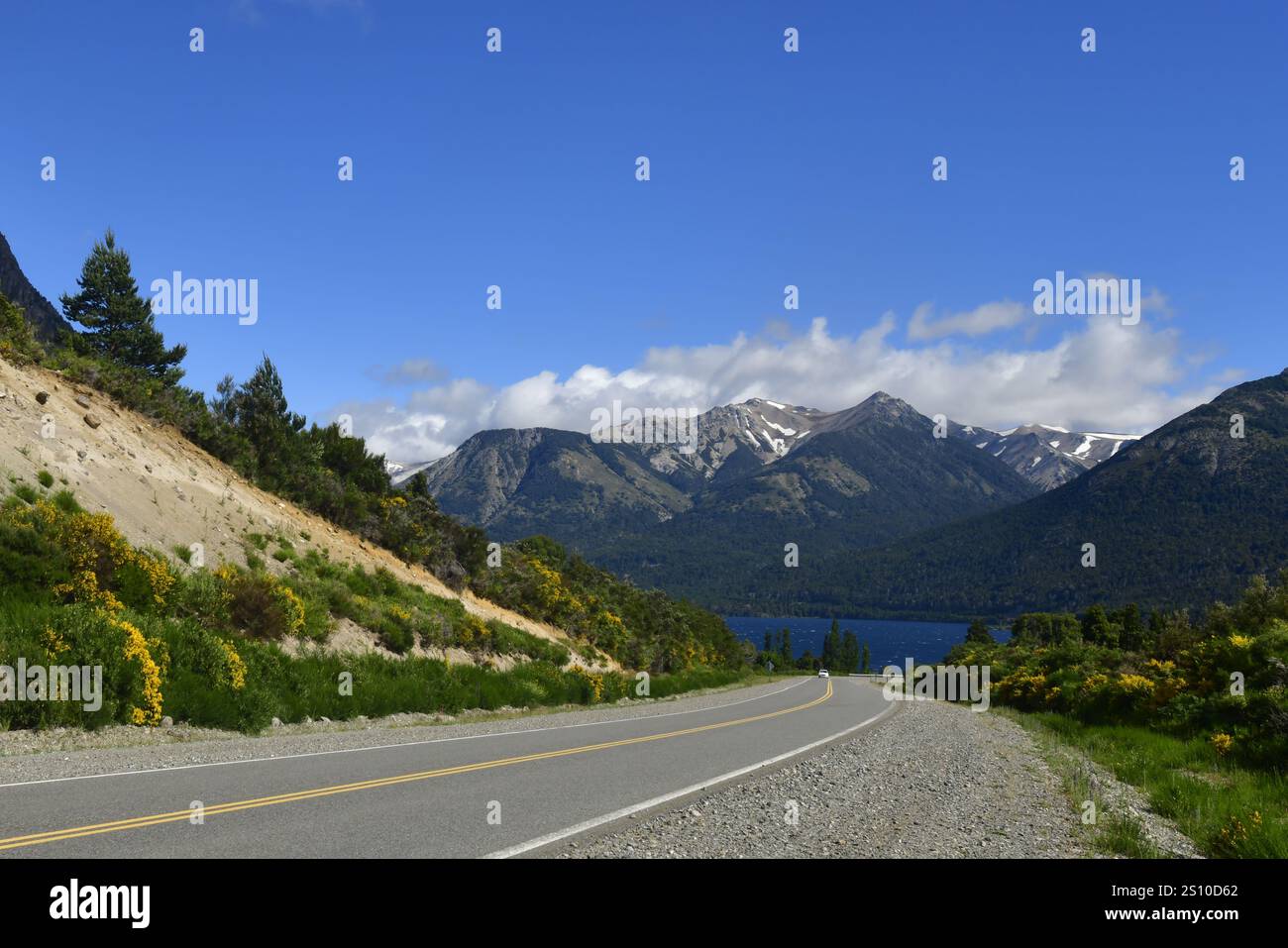 Belles vues sur la route des sept lacs, province de Neuquén Argentine Banque D'Images
