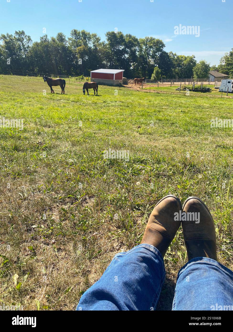 Scène estivale ensoleillée de chevaux qui paissent dans un pâturage verdoyant, avec des bottes de cow-boy au premier plan, capturant l'essence du style de vie occidental. - Image de stock capturée avec un smartphone
