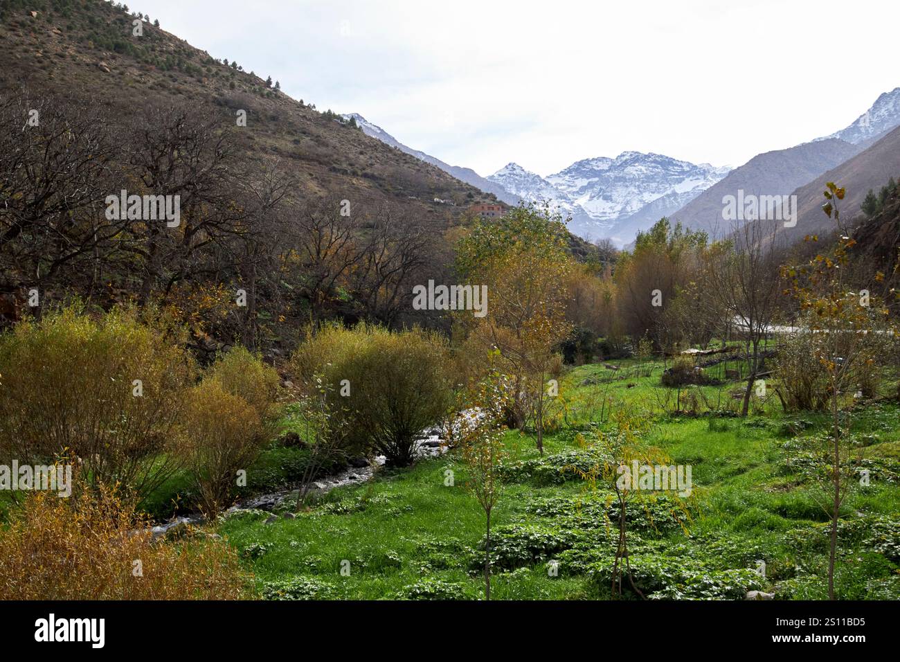 vue le long de la vallée de l'imlil en regardant vers le mont toubkal maroc Banque D'Images