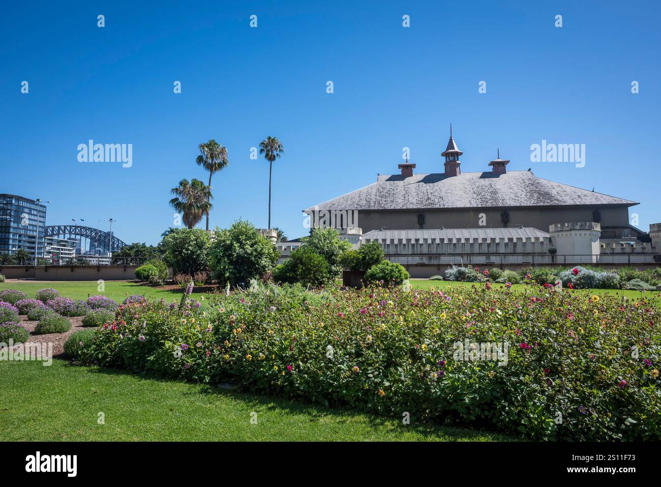 Royal Botanic Garden, un jardin botanique majeur classé au patrimoine de 30 hectares, Sydney, Nouvelle-Galles du Sud, Australie Banque D'Images