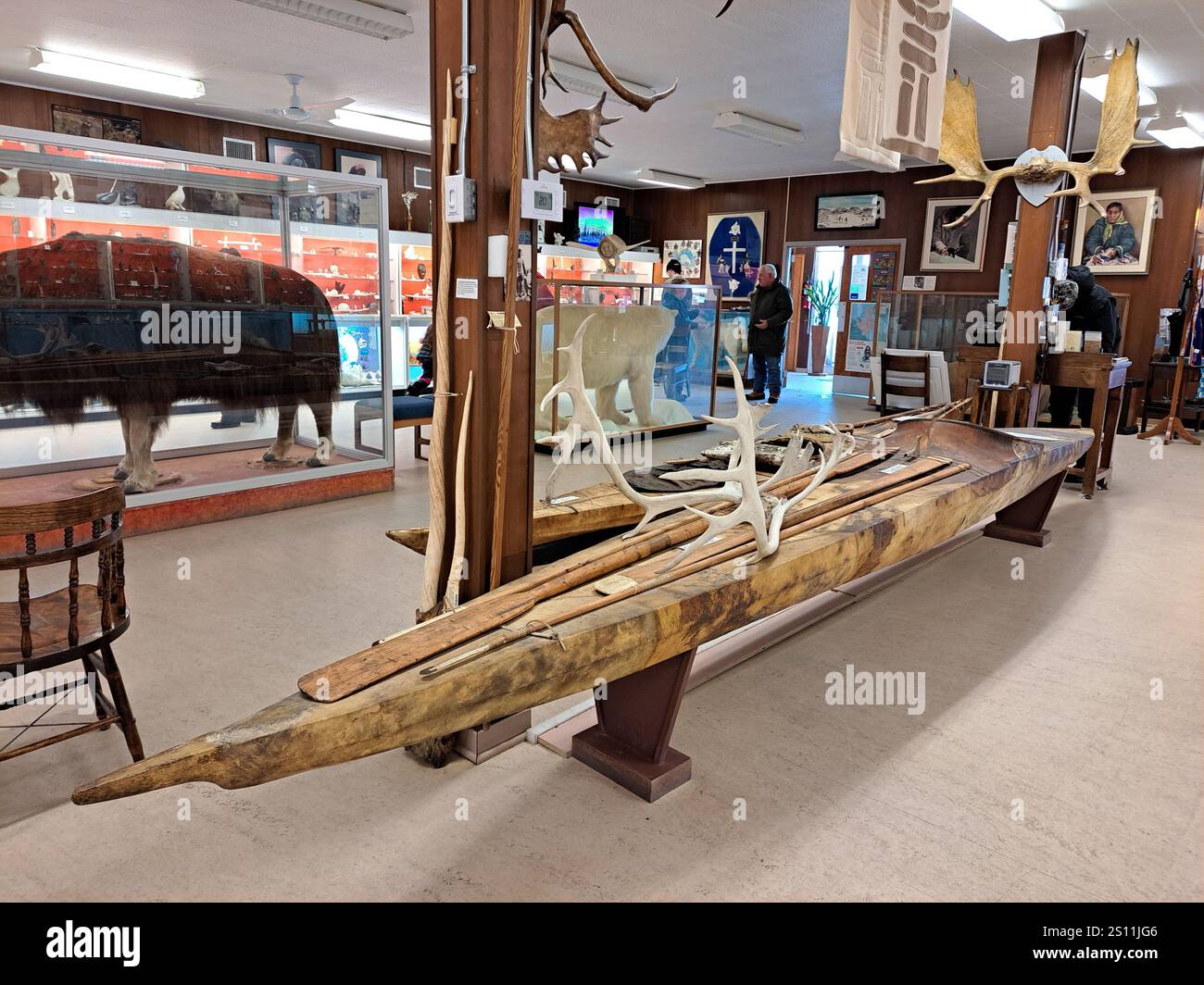 Kayak en bois et défenses de narval à l'intérieur du musée Itsanitaq sur l'avenue la Vérendrye à Churchill, Manitoba, Canada Banque D'Images