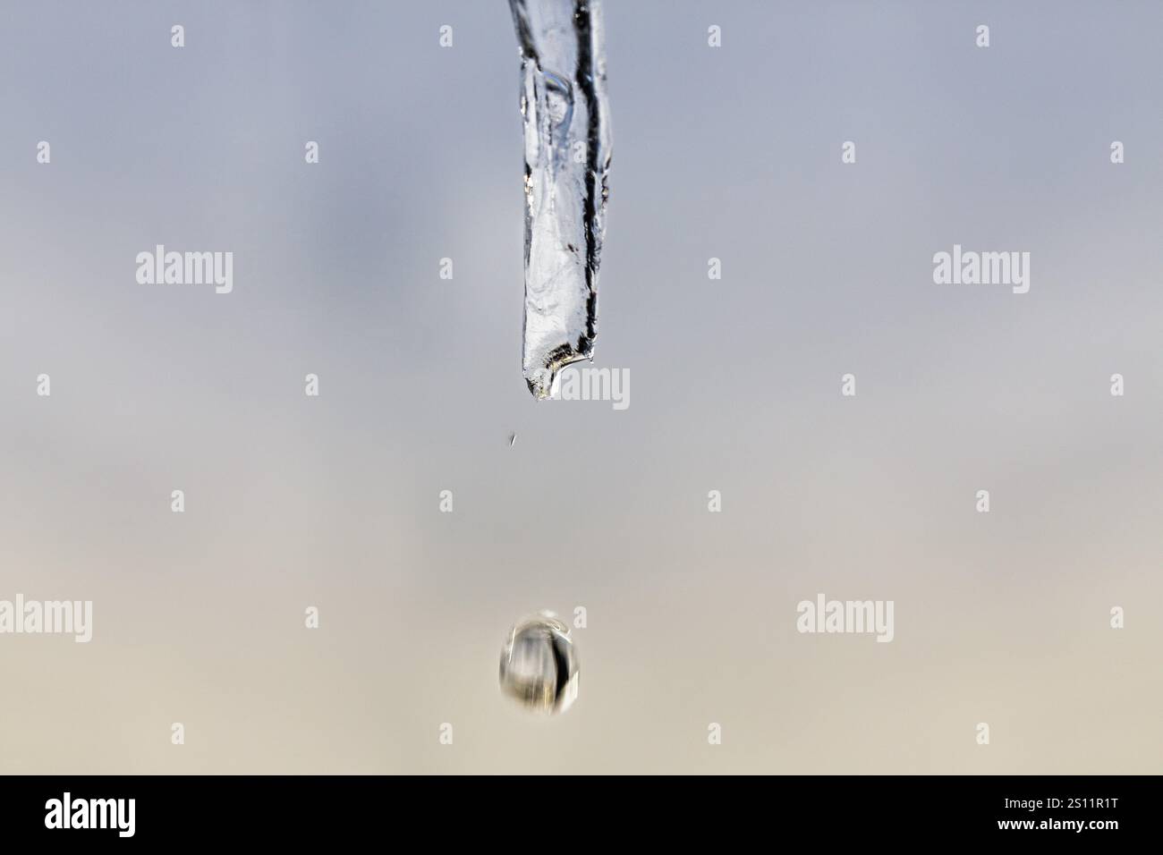 Fonte des glaçons, goutte à goutte, macro, hiver 2010 exceptionnellement froid, photo symbolique temps hivernal, dégel, réchauffement, changement climatique, météorologie, passé, Hoext Banque D'Images