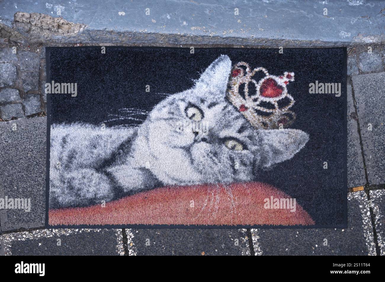 Chat avec couronne, photo sur un paillasson devant un magasin de laine, Bavière, Allemagne, Europe Banque D'Images