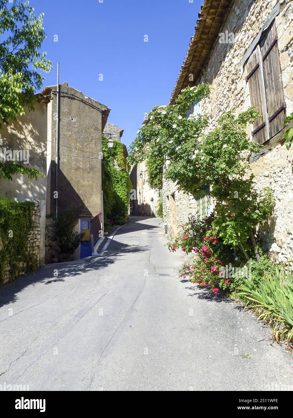 Plantes et fleurs poussant le long d'une étroite rue pavée serpentant à travers un charmant village français en provence Banque D'Images