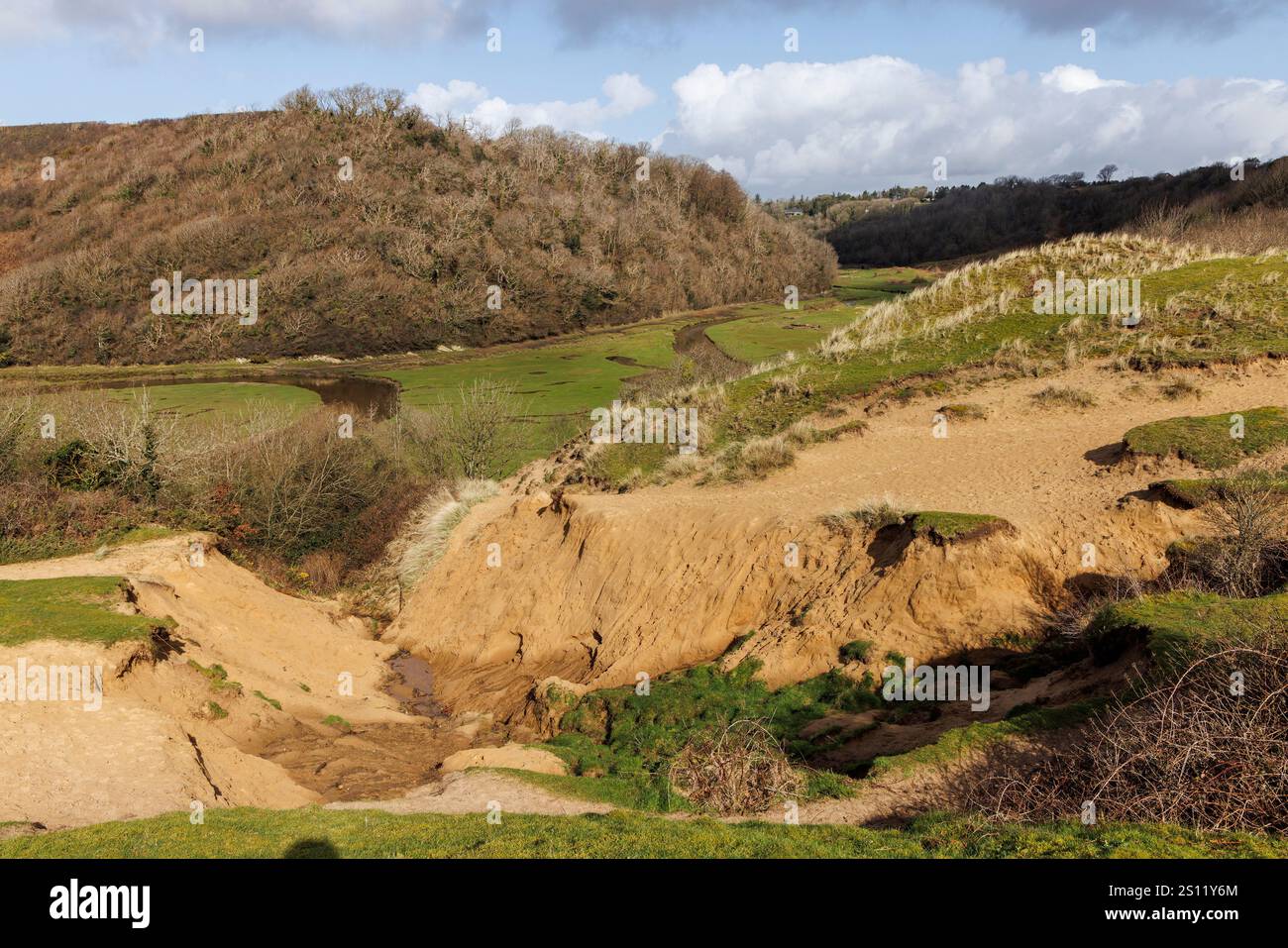 Érosion des dunes de sable au bord du parcours de golf, Three Cliffs, Gower, pays de Galles, Royaume-Uni Banque D'Images