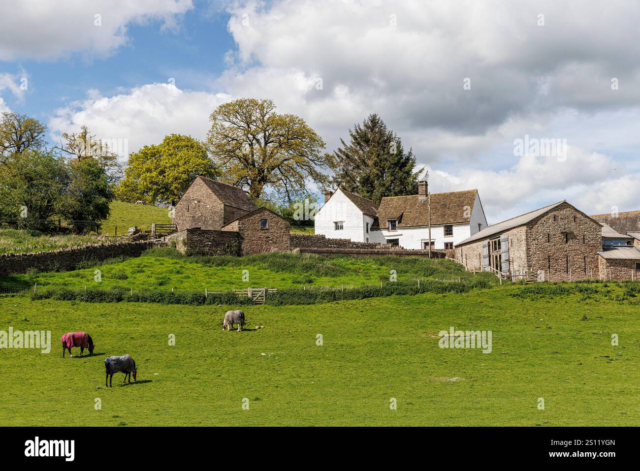 Llwyn Celyn, ferme rénovée du 15ème siècle, pays de Galles, Royaume-Uni Banque D'Images