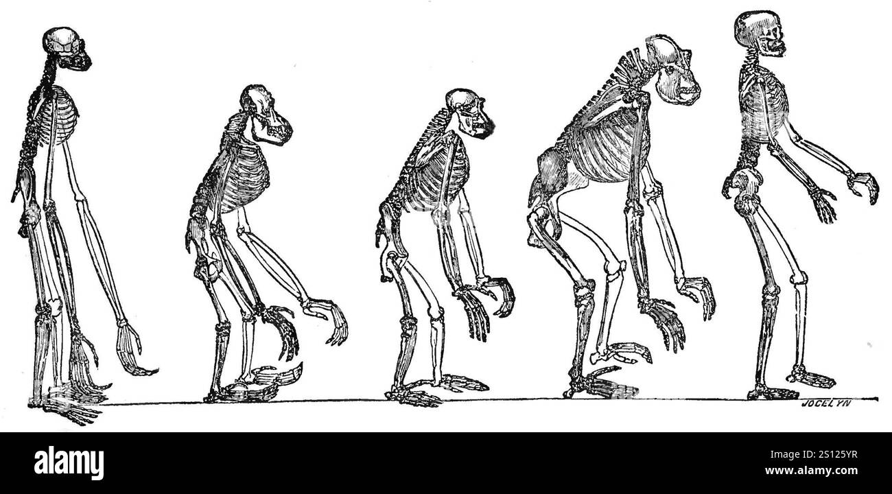 Preuve de la Place de l'homme dans la nature avant. Banque D'Images