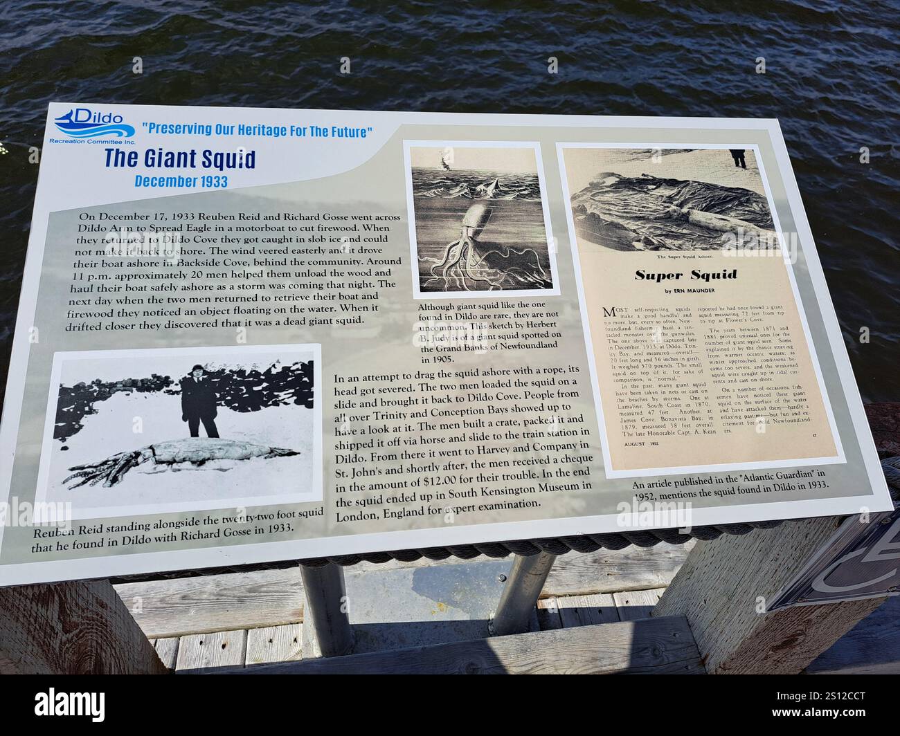 Panneau d'information sur le calmar géant à Dildo, Terre-Neuve-et-Labrador, Canada Banque D'Images