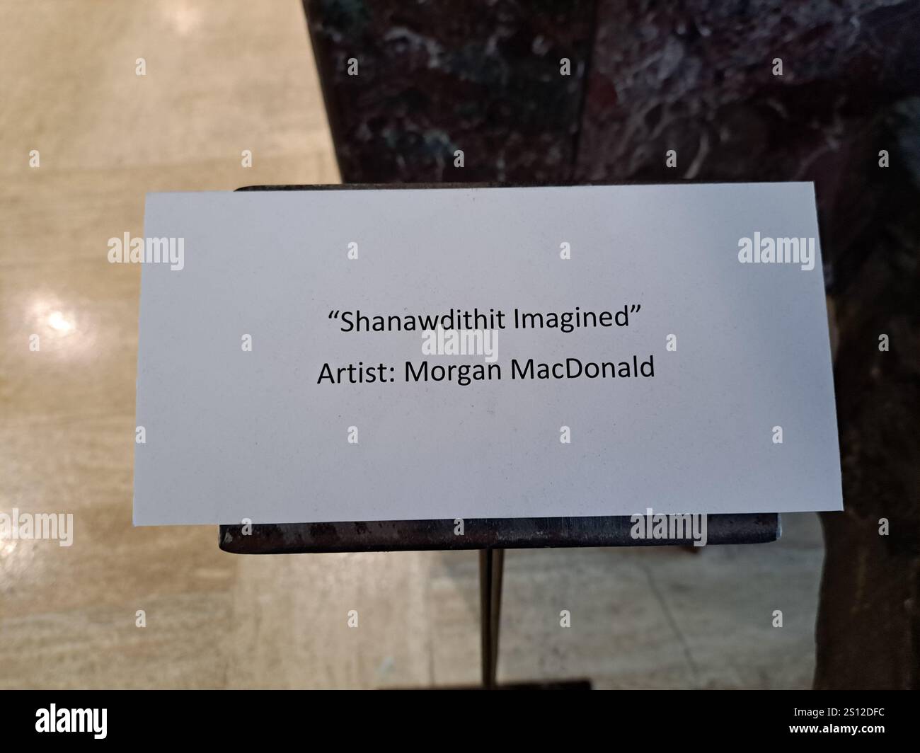 L'enseigne d'artiste pour Shanawdithit a imaginé la sculpture à l'intérieur de l'édifice provincial de la Confédération à chaque John's, Terre-Neuve-et-Labrador, Canada Banque D'Images