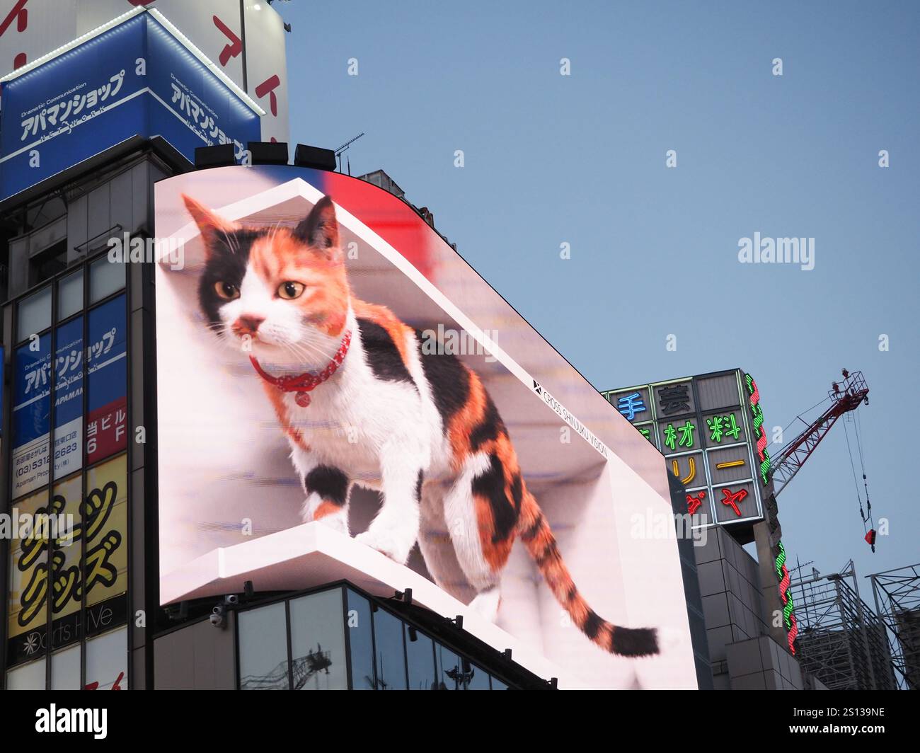 TOKYO, JAPON - 19 juillet 2024 : panneau d'affichage en 3D représentant un chat sur un bâtiment dans le quartier Shinjuku de Tokyo. Banque D'Images