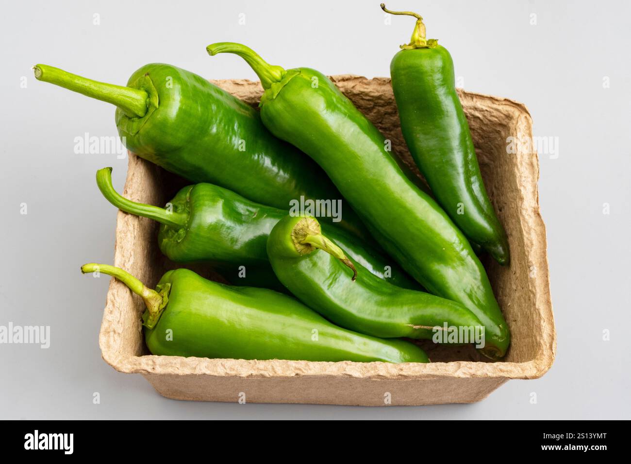 Poivrons verts cultivés de manière biologique Banque D'Images